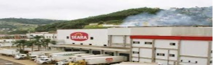SEARA ROCA SALES